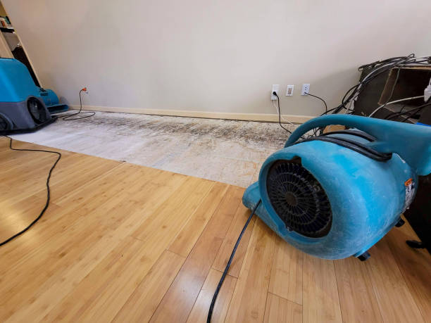 Professional Flood Damage Cleanup technician working in New Hampton, NH